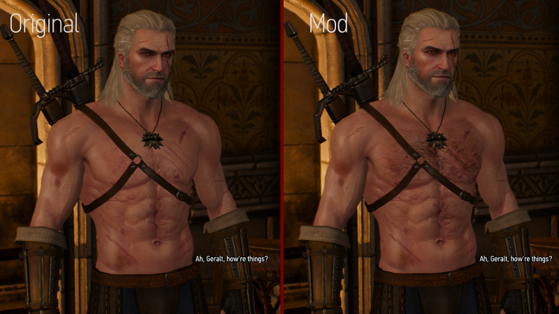Illustration for article titled Witcher 3 Mods Have Gotten Weird